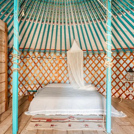 Alpaca Country House Понтедера Экстерьер фото