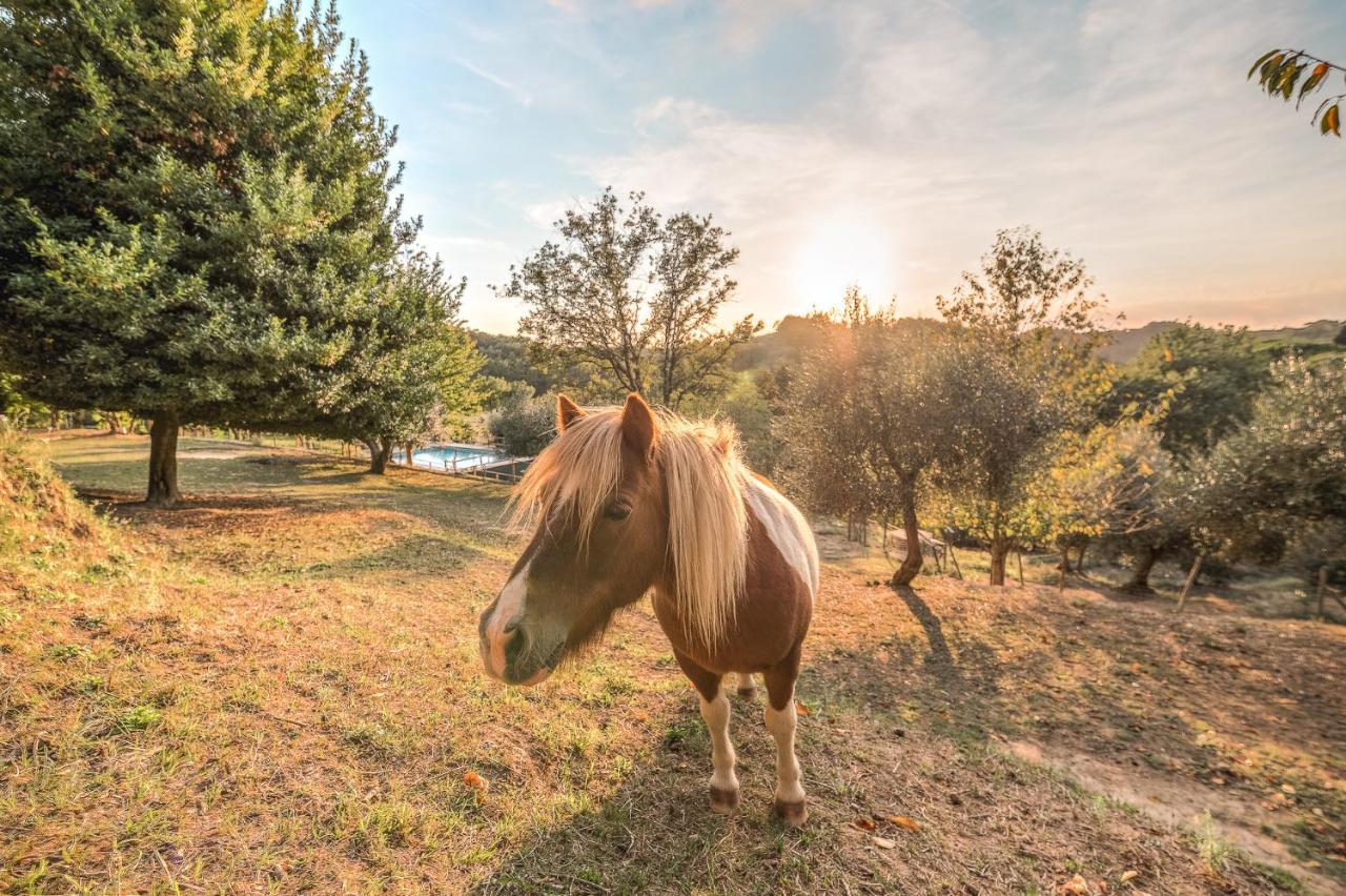 Alpaca Country House Понтедера Экстерьер фото