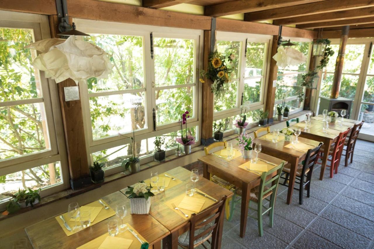 Alpaca Country House Понтедера Экстерьер фото